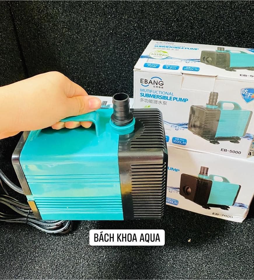 Bơm EBang các loại - EB 5000 6000 7000
